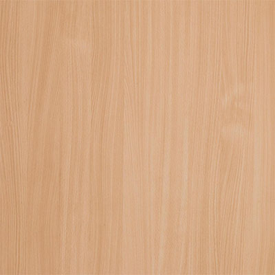 color plates 0008 csm 3391 BS Dekorbild b3f694bc57 beech